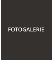 FOTOGALERIE