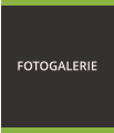 FOTOGALERIE